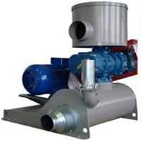 Воздуходувка роторная промышленная Robuschi ROBOX EL 95/3P