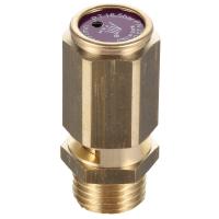Клапан предохранительный 1/2" 17,3 бар 319-421/818081211